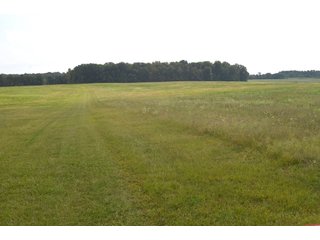 Pond in Dekalb County, Indiana - MAJOR LAND AUCTION - 516+/- ACRES OFFERED IN 18 TRACTS OR COMBINATIONS IN DEKALB COUNTY, INDIANA